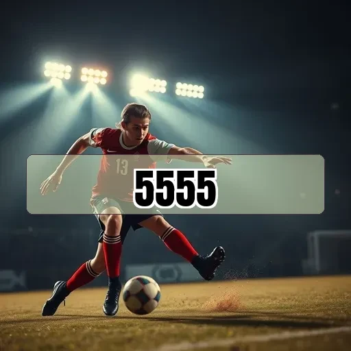 5555.com Termos